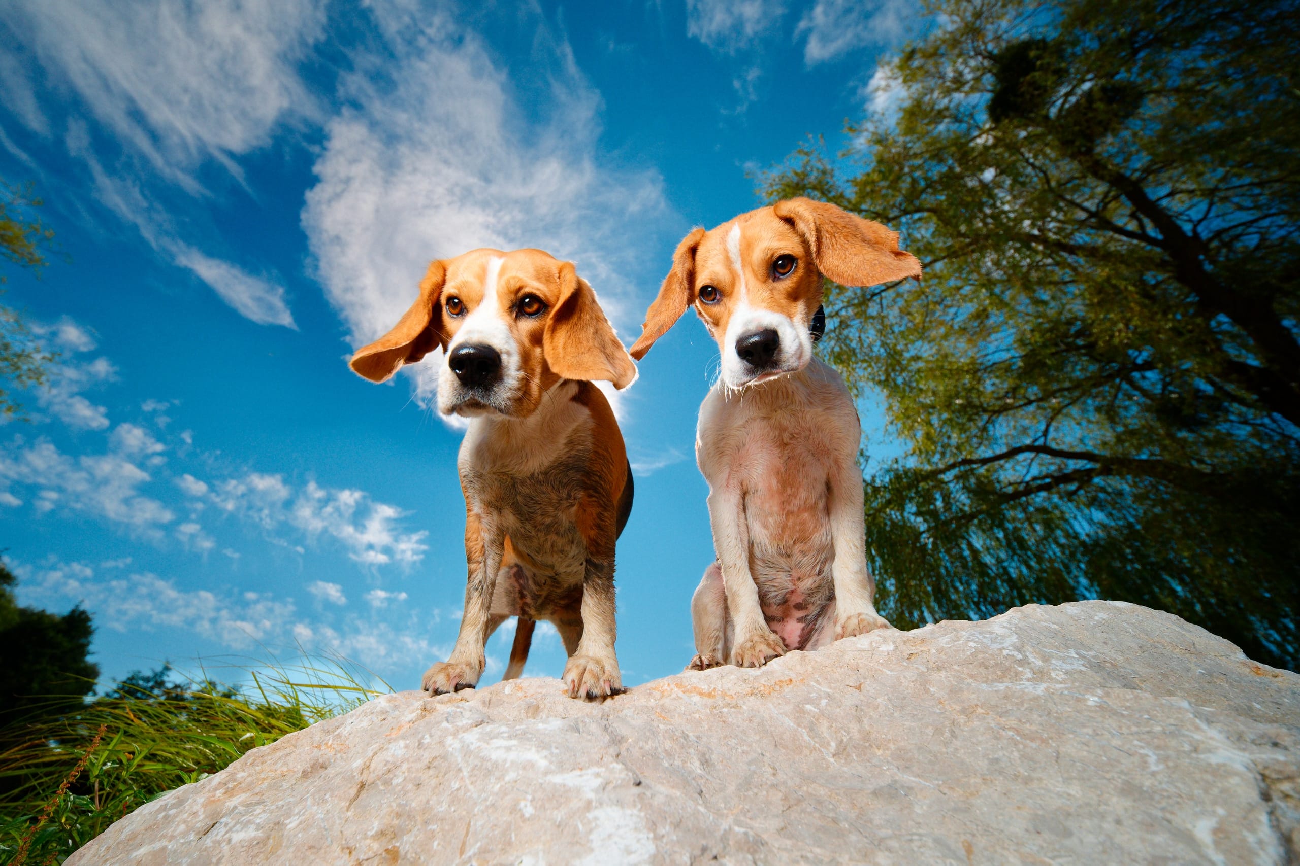 Gallery cover image